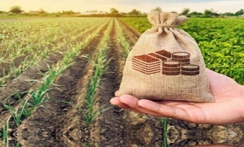 سرمایه صندوق بیمه کشاورزی ۴۰ برابر شد