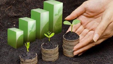 سرمایه‌گذاری سبز فرصت ایجاد ارزش افزوده در صنایع ایران/حمایت از ۱۱۰ پروژه تا امروز