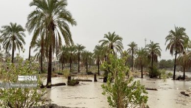 سیل آذرماه بیش از ۱۱ همت به بخش کشاورزی خسارت زد