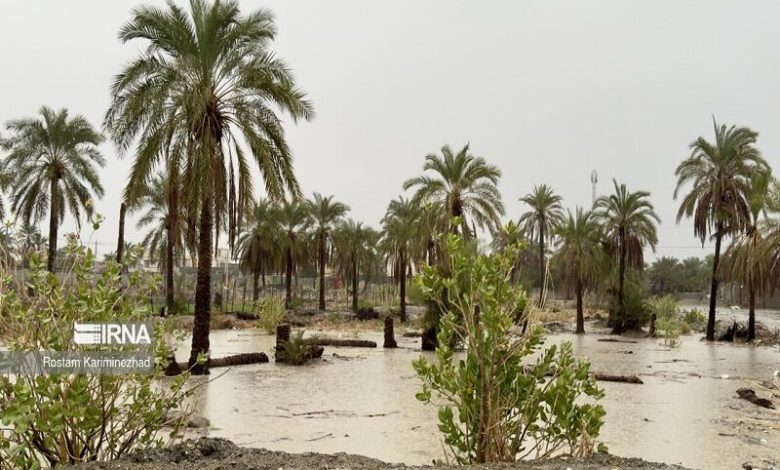 سیل آذرماه بیش از ۱۱ همت به بخش کشاورزی خسارت زد