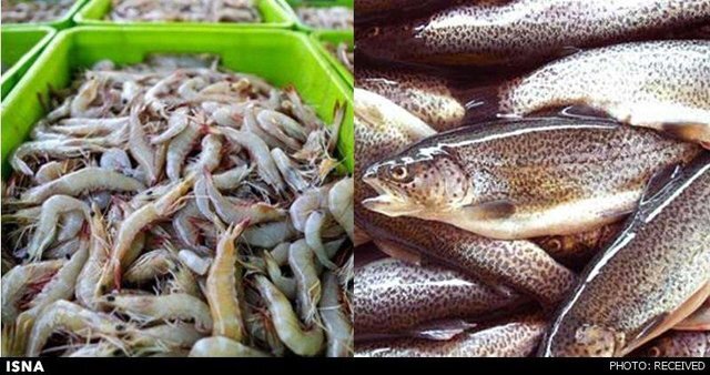 صادرات آبزیان ظرفیت تأمین ارز ۸ میلیارد یورویی کالاهای اساسی را دارد