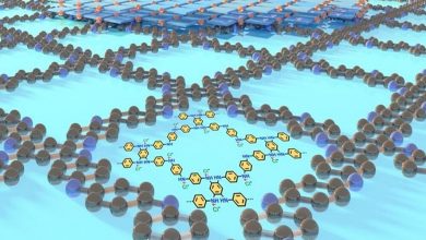 صادرات نانو پلیمرهای ایرانی با قابلیت افزایش طول عمر تجهیزات صنعتی