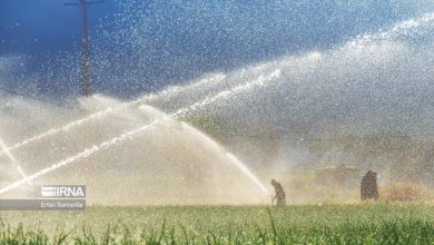 صادرات ۱۰۰ میلیون دلاری تجهیزات آبیاری طی ۸ ماهه امسال