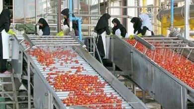 صنایع تبدیلی ابزار کلیدی کاهش فشار بر خاک است