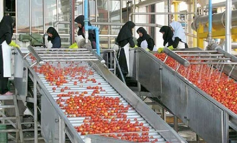 صنایع تبدیلی ابزار کلیدی کاهش فشار بر خاک است