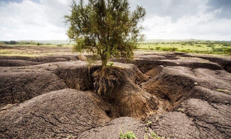 عدم بازگشت سالانه میلیون‌ها تن کربن به خاک/ تاب‌آوری خاک در اولویت برنامه‌هاست