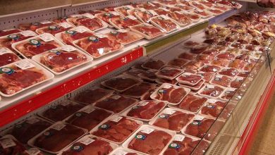 عرضه روزانه ۴۰ تن گوشت وارداتی در تهران/ قیمت گذاری با سازمان حمایت است