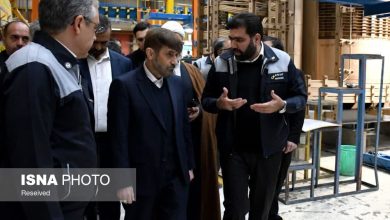 عضو مجمع تشخیص مصلحت نظام: توسعه خودروهای برقی باید با تکیه بر توان داخلی دنبال شود