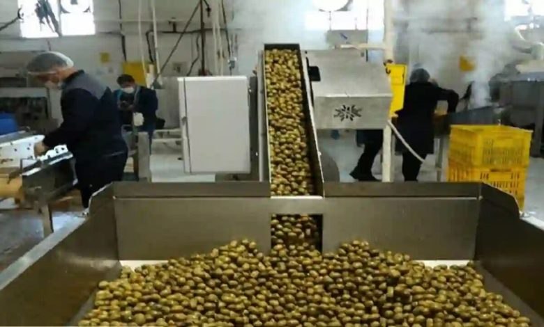 فرماندار رودسر: هفت هکتار زمین این شهرستان به احداث صنایع تبدیلی اختصاص یافت