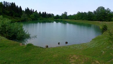 فرماندار: هزاران هکتار از اراضی کشاورزی بندرانزلی در وضعیت قرمز قرار دارد