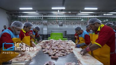 فروش مرغ باید با نرخ مصوب عرضه شود/جریمه ۱۵ میلیارد تومانی در یک هفته