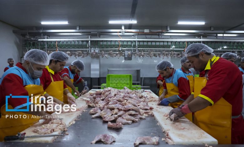 فروش مرغ باید با نرخ مصوب عرضه شود/جریمه ۱۵ میلیارد تومانی در یک هفته