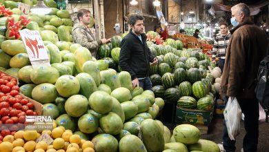 قیمت عمده فروشی انواع میوه شب یلدا اعلام شد