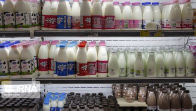 قیمت لبنیات در پی تصویب نرخ جدید شیرخام کاهش می یابد