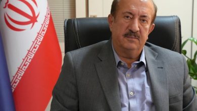 قیمت‌گذاری خودروهای مونتاژی در اختیار شورای رقابت است