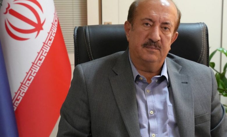 قیمت‌گذاری خودروهای مونتاژی در اختیار شورای رقابت است