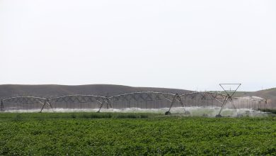 مدیریت هوشمند آب در زنجان راهکار مقابله با کم آبی