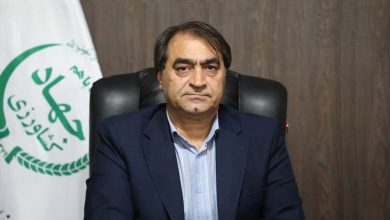 مرغداران نگران تأمین نهاده نباشند/ توزیع خوراک دام و طیور با ارز دولتی