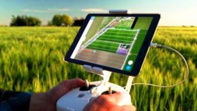 مرکز هوشمندسازی، نوآوری و امنیت در سازمان شیلات ایران ایجاد شد