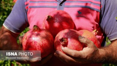 مرگ تدریجی یک برند ملی/ این محصول را به ونتیلاتور وصل کنید