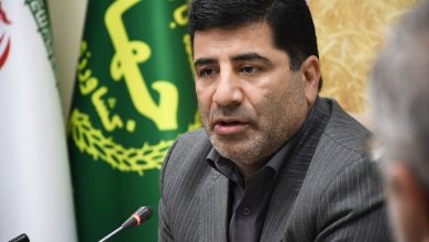 معاون وزیر: بخش کشاورزی سالانه حدود ۱۲ تا ۱۵ همت برای تحقیق و توسعه هزینه میکند