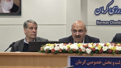 معاون گمرک کشور: بخش خصوصی قسمتی از کار سیاست‌گذاری را از دولت بگیرد