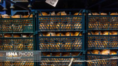 میوه شب عید دو برابر سال قبل ذخیره شد