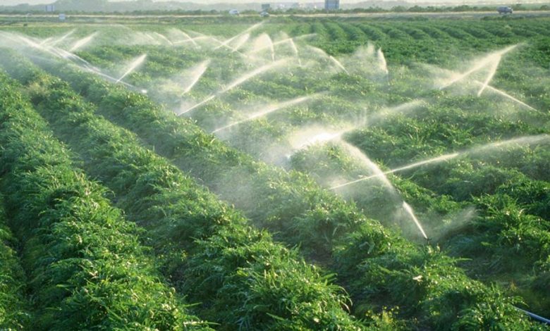 نجات آب در اقلیم خشک؛ هرمزگان الگوی نوین آبیاری ایران