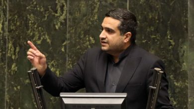 نماینده قائنات حمایت دولت از دامداران خراسان جنوبی با تسهیلات نهاده دامی را خواستار شد