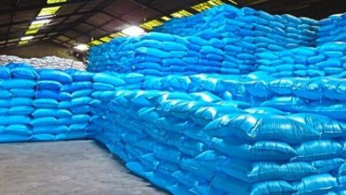 هشدار نسبت به تهدید امنیت غذایی کشور؛ عدم تامین ارز سم و کود طی ۵ ماه