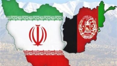 همکاری‌های ایران و افغانستان در حوزه قرنطینه و بهداشت گیاهی تقویت می‌شود