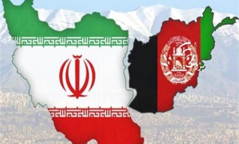 همکاری‌های ایران و افغانستان در حوزه قرنطینه و بهداشت گیاهی تقویت می‌شود