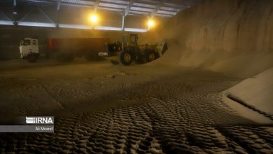 پلیس از کشف ۴۲ هزار تن نهاده دامی قاچاق و احتکاری خبر داد