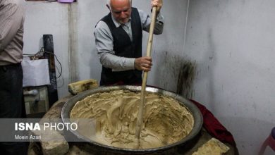 پیش بینی درآمد ۱۸۰ میلیارد ریالی نیشکرکاران گیلان