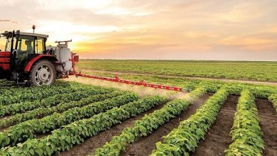 پیوند نوآوری و صنعت در مسیر توسعه صنایع تبدیلی کشاورزی