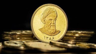 چرا سکه‌ها با وجود وزن و عیار یکسان، قیمت متفاوت دارند؟