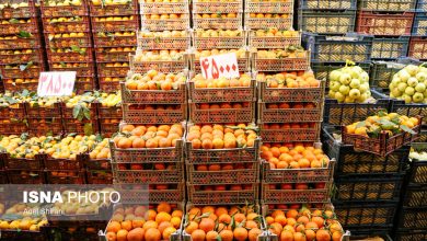 کمبودی در تأمین میوه‌های شب یلدا وجود ندارد / میوه شب یلدا کیلویی چند؟