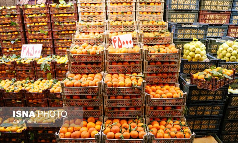 کمبودی در تأمین میوه‌های شب یلدا وجود ندارد / میوه شب یلدا کیلویی چند؟