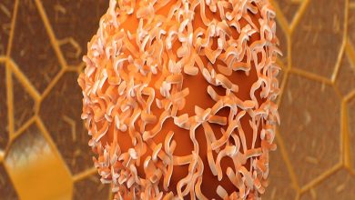 کیت نانویی تشخیص خون مخفی برای پایش سرطان روده