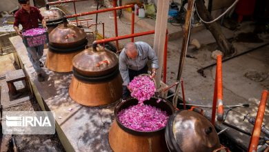 گلاب سیاه توسط شرکت های دانش بنیان ایرانی تولید شد