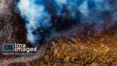 ۱۰ هکتار جنگل ابر شاهرود در چنگال آتش/ استمداد ۵۰ نیرو برای مهار حریق + فیلم