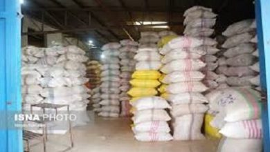 ۱۲ آذر آغاز ثبت سفارش برنج‌های پاکستانی و هندی؛ آیا قیمت‌ها تکان می‌خورد؟