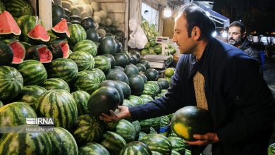 ۲۵۲ هزارتن هندوانه پاییزه برای تنظیم بازار شب یلدا به بازار عرضه می شود