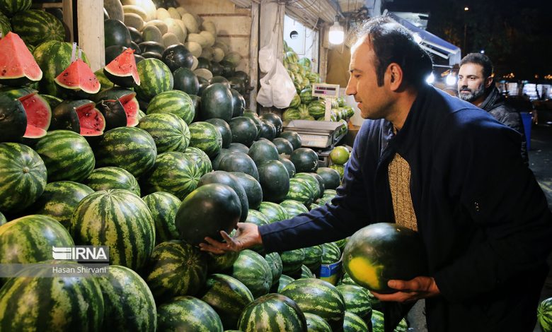 ۲۵۲ هزارتن هندوانه پاییزه برای تنظیم بازار شب یلدا به بازار عرضه می شود