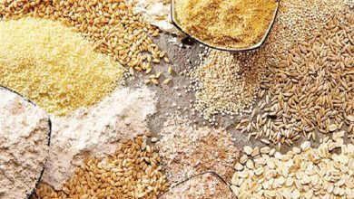 ۵ دلیل حبس نهاده‌های دامی در بنادر کشور