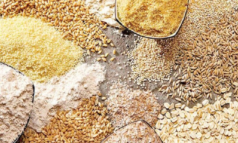 ۵ دلیل حبس نهاده‌های دامی در بنادر کشور